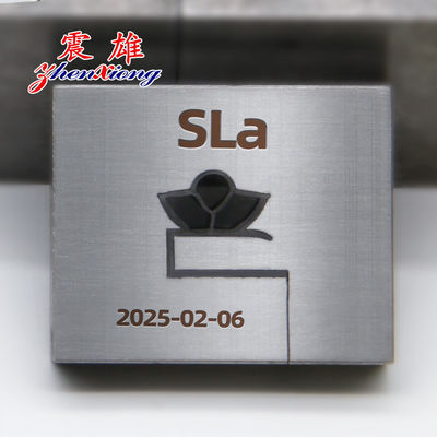 Custom Designs Plastic Extrusion Mould with Complete Set of Molds and Special Surface Treatment for Fast Delivery